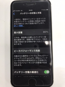 iPhoneSE2最大容量