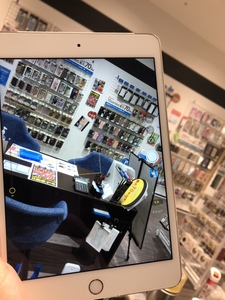 iPadmini4　カメラもしっかり立ち上がる