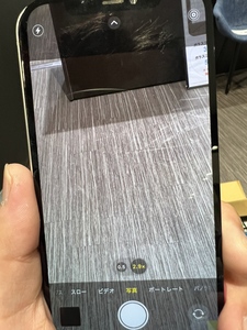 キレイに撮影できるようになりました！